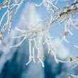 Visite The evian journey (4-hour tour) - English visit